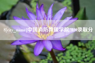 扬州中国消防救援学院2020录取分