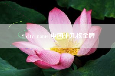 扬州中国十九枚金牌