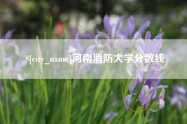 扬州河南消防大学分数线