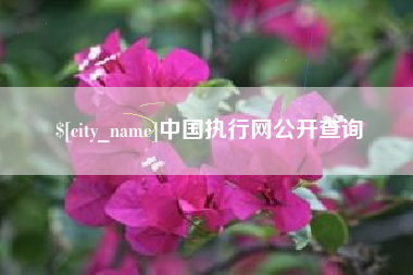 扬州中国执行网公开查询