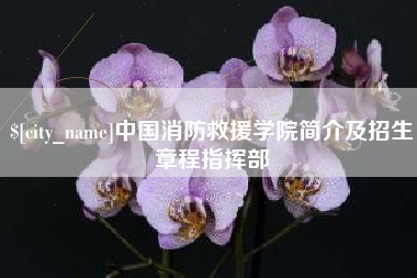 扬州中国消防救援学院简介及招生章程指挥部