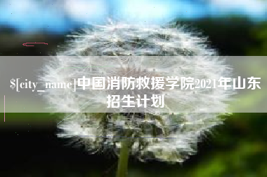 扬州中国消防救援学院2021年山东招生计划