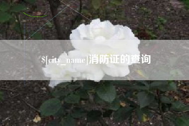 扬州消防证的查询