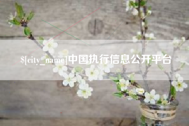 扬州中国执行信息公开平台