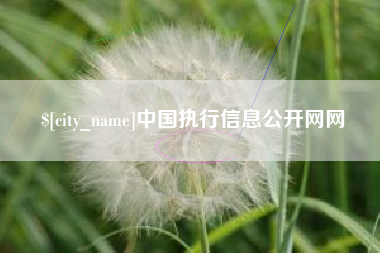 扬州中国执行信息公开网网