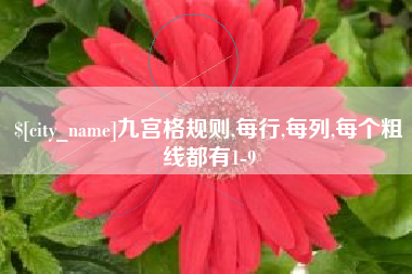 扬州九宫格规则,每行,每列,每个粗线都有1-9