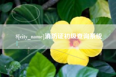 扬州消防证初级查询系统