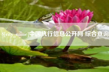 扬州中国执行信息公开网 综合查询