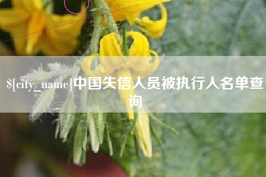 扬州中国失信人员被执行人名单查询