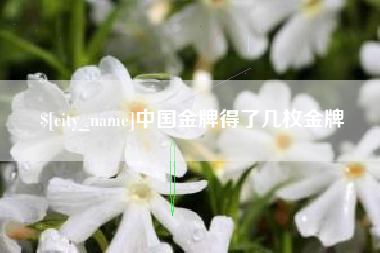 扬州中国金牌得了几枚金牌