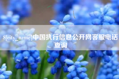 扬州中国执行信息公开网客服电话查询