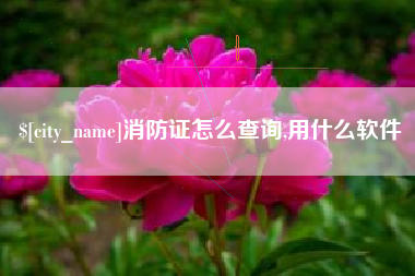 扬州消防证怎么查询,用什么软件
