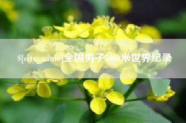 扬州全国男子5000米世界纪录