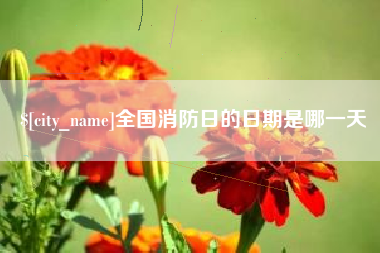 扬州全国消防日的日期是哪一天
