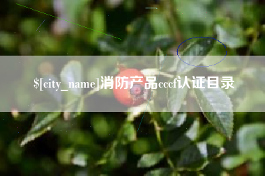 扬州消防产品cccf认证目录