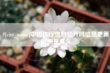 扬州中国执行信息公开网信息更新时间是多久