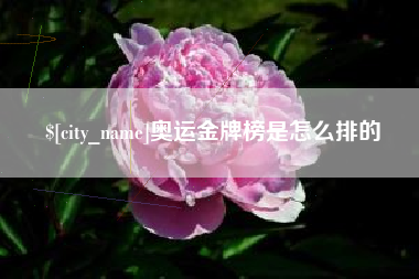 扬州奥运金牌榜是怎么排的