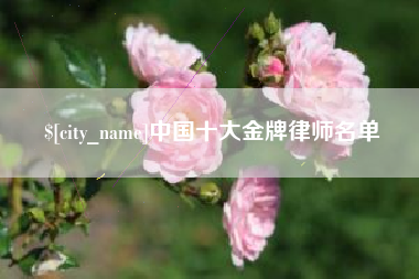 扬州中国十大金牌律师名单