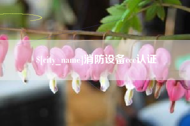 扬州消防设备ccc认证