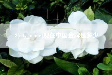 扬州现在中国金牌是多少
