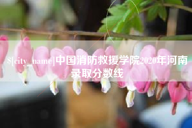 扬州中国消防救援学院2020年河南录取分数线