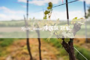 扬州中国队 冠军