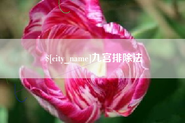 扬州九宫排除法