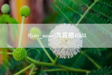 扬州九宫格42633