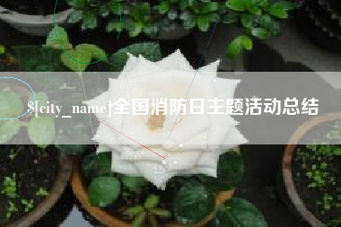扬州全国消防日主题活动总结