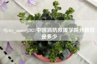 扬州2021中国消防救援学院分数线是多少