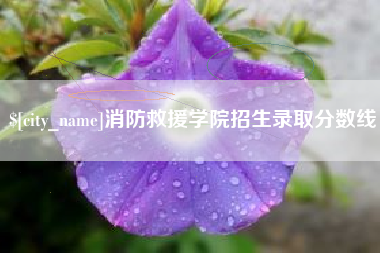 扬州消防救援学院招生录取分数线