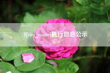 扬州执行信息公示