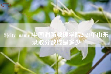 扬州中国消防救援学院2021年山东录取分数线是多少
