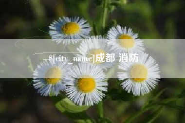 扬州成都 消防