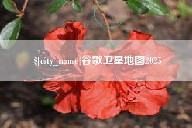 扬州谷歌卫星地图2025