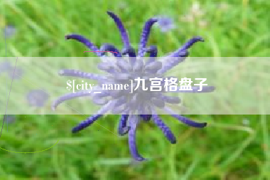 扬州九宫格盘子