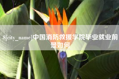 扬州中国消防救援学院毕业就业前景如何