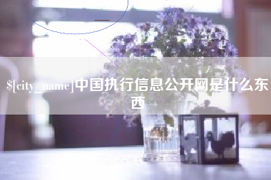 扬州中国执行信息公开网是什么东西