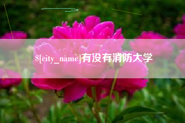 扬州有没有消防大学