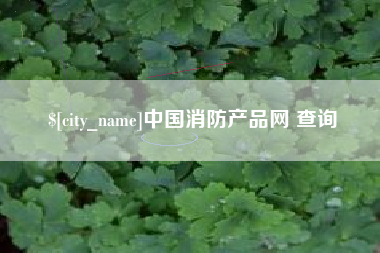 扬州中国消防产品网 查询