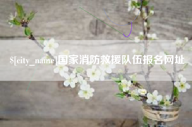 扬州国家消防救援队伍报名网址