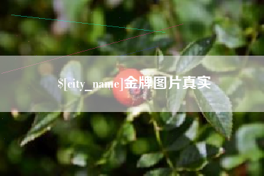 扬州金牌图片真实