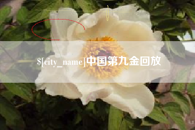 扬州中国第九金回放