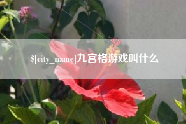 扬州九宫格游戏叫什么
