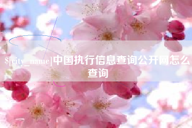 扬州中国执行信息查询公开网怎么查询