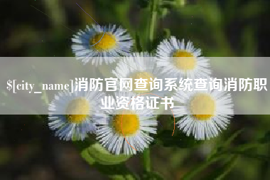 扬州消防官网查询系统查询消防职业资格证书