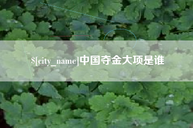 扬州中国夺金大项是谁
