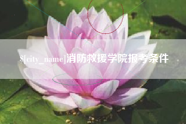 扬州消防救援学院报考条件