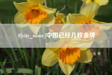 扬州中国已经几枚金牌