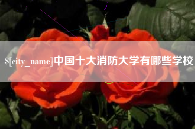 扬州中国十大消防大学有哪些学校